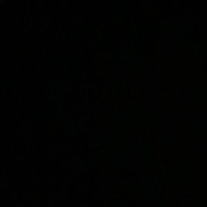 Meet your Posher, Jamee